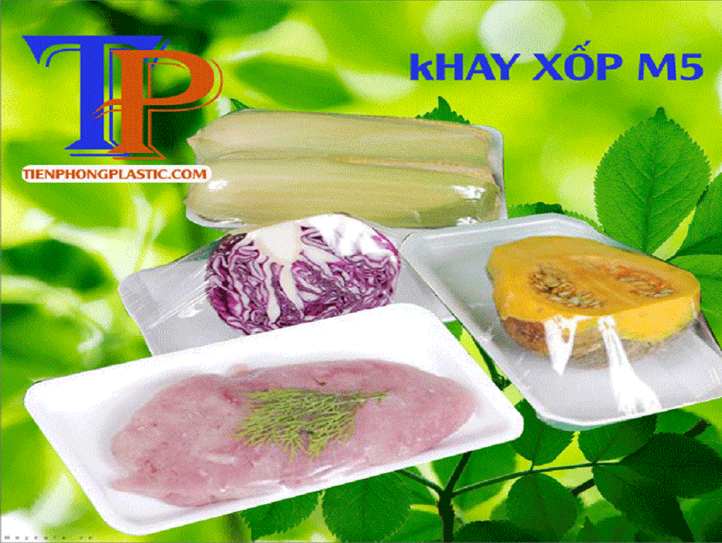 Đồ dùng một lần là gì, sản phẩm tại Tiến Phong Plastic?