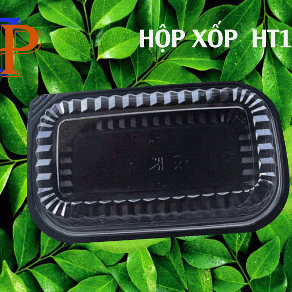 HỘP NHỰA HT 17 HỘP NHỰA HT 17
