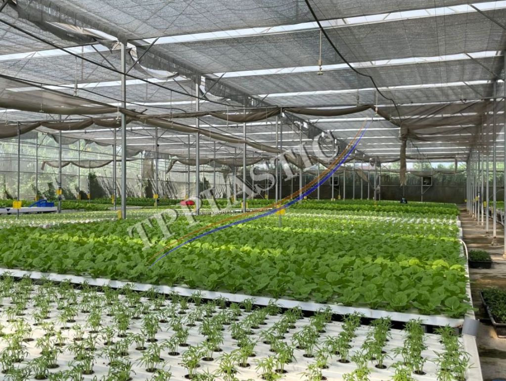 tam xop eps tai quan ha dong