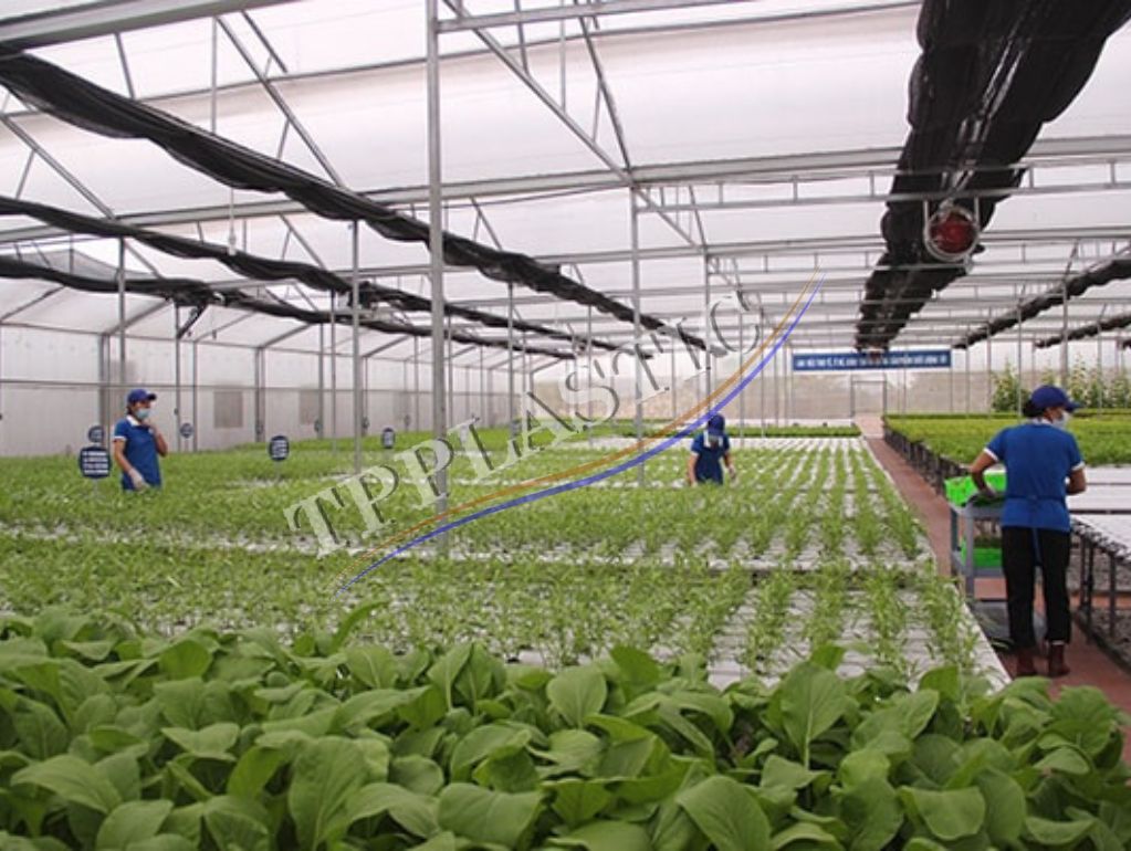 Tấm xốp EPS tại quận Hà Đông và các ứng dụng của nó