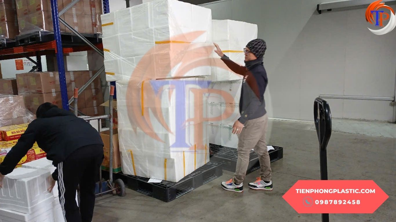 Thùng xốp nhỏ giá tốt, chất lượng cao | Tiến Phong Plastic