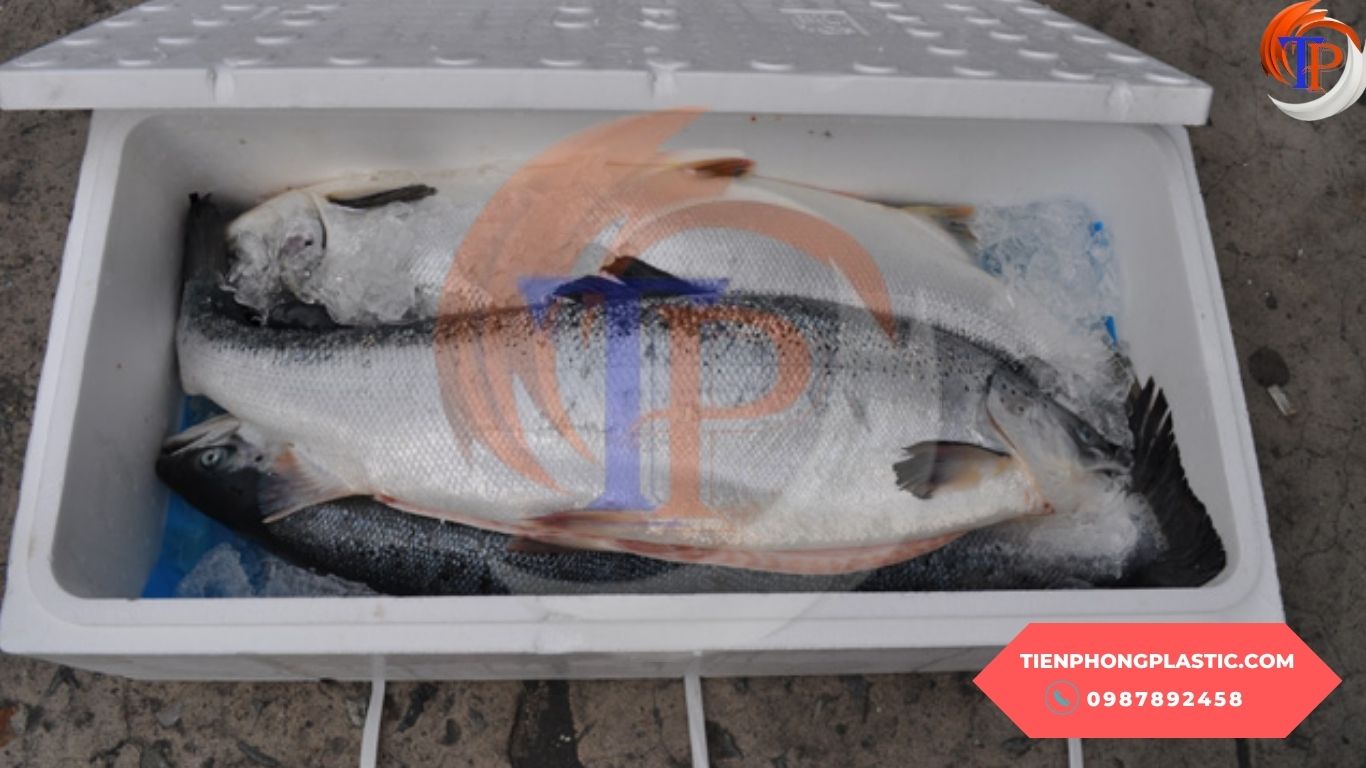 Thùng xốp đóng hải sản giá rẻ
